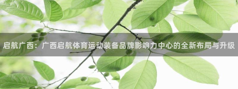 bbin视讯游戏平台