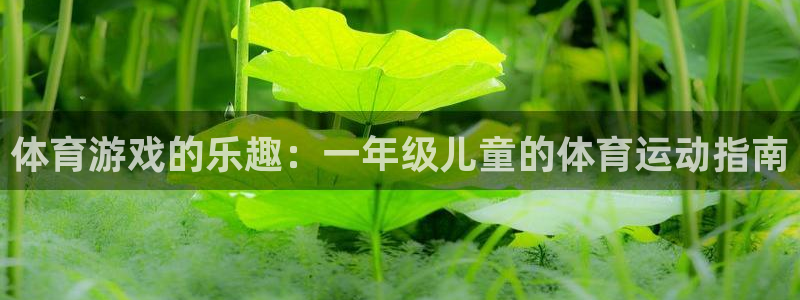 bbin视讯游戏官网：体育游戏的乐趣：一年级儿童的体育运动指南