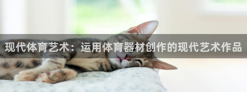 bbin视讯下：现代体育艺术：运用体育器材创作的现代艺术作品