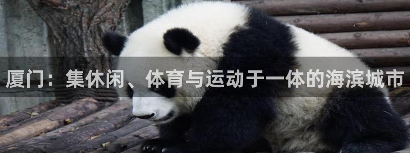 bbin视讯：厦门：集休闲、体育与运动于一体的海滨城市