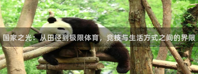 bbin视讯游戏官网：国家之光：从田径到极限体育，竞技与生活方式之间的界限