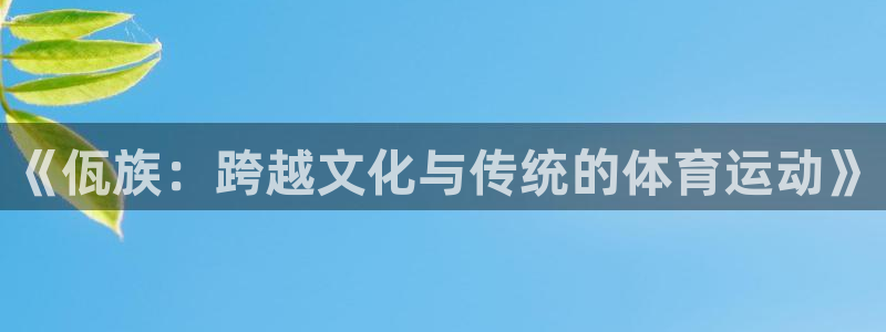 bbin视讯下：《佤族：跨越文化与传统的体育运动》