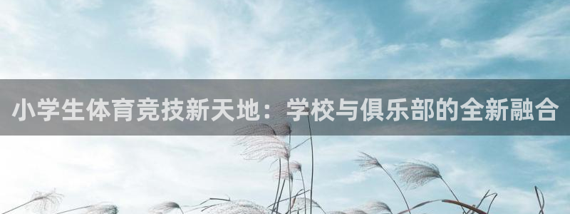 bbin视讯：小学生体育竞技新天地：学校与俱乐部的全新融合