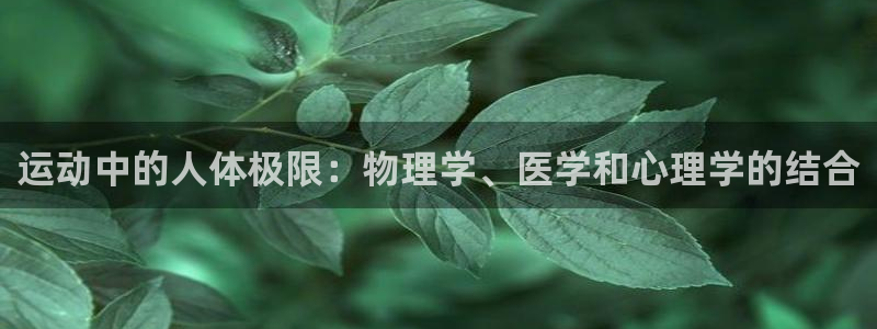 bbin视讯游戏平台