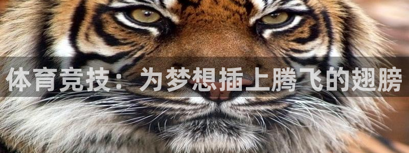 bbin视讯下：体育竞技：为梦想插上腾飞的翅膀
