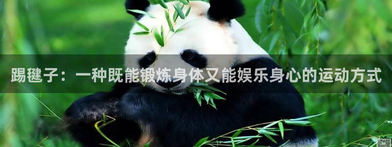 bbin视讯：踢毽子：一种既能锻炼身体又能娱乐身心的运动方式